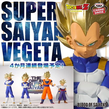 Dragon Ball Z Blood of Saiyans - Super Saiyan Vegeta