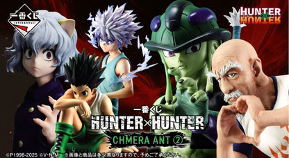 Ichiban Kuji Hunter X Hunter CHIMERA ANT 2 - E Prize Neferpitou Figure Masterlise